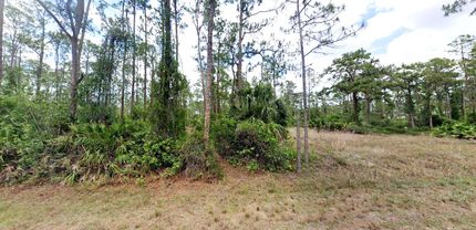 Property in Lee County, Florida
