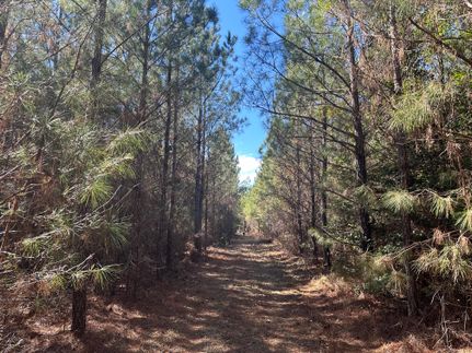 Property in Butler County, Alabama