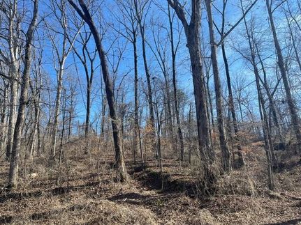 Property for sale in Hardeman County, Tennessee