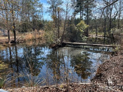 Property in Hampton County, South Carolina