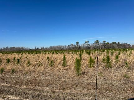 Property in Appling County, Georgia