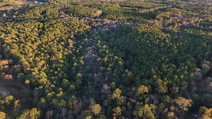 Property in George County, Mississippi