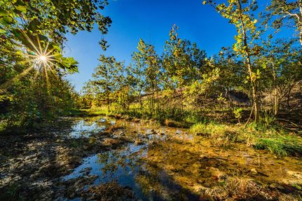 Hunting Land for sale in Bell County, Texas