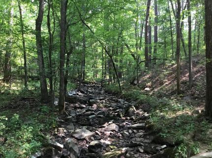 Property in Pulaski County, Arkansas