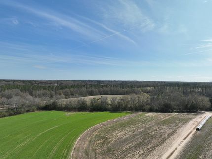 Property in Houston County, Alabama