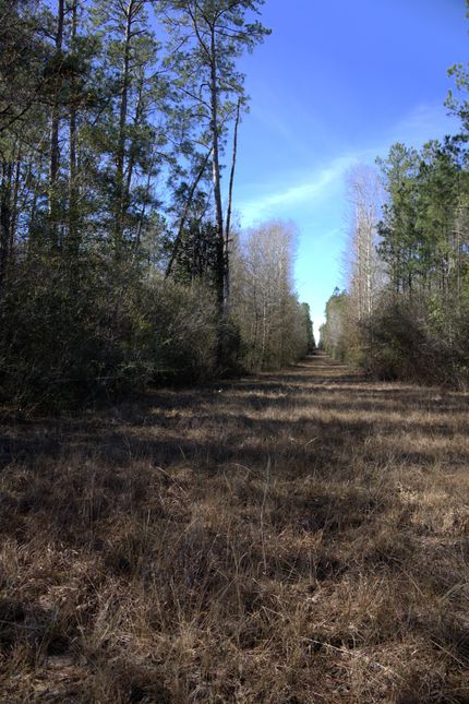 Undeveloped Land for sale in Hardin County, Texas