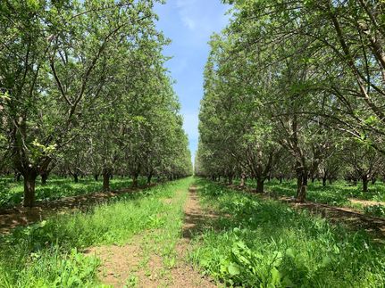 Property in Kern County, California