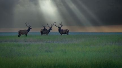 Property in Musselshell County, Montana