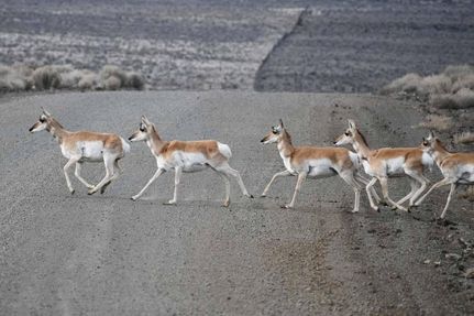 Property in Lake County, Oregon