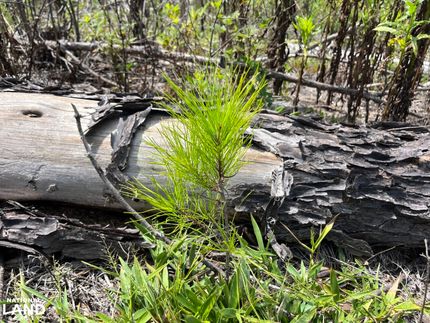 Property in Chilton County, Alabama