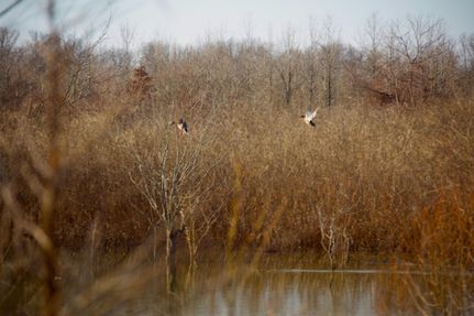 Property in Saint Francis County, Arkansas