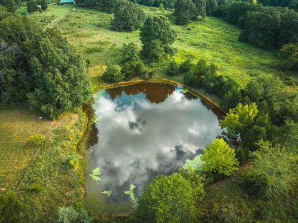 Property in Oregon County, Missouri