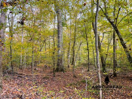 Property in Haralson County, Georgia