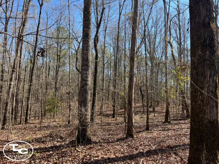 Property in Fayette County, Alabama