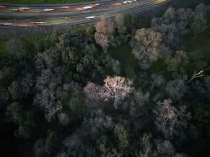 Property in Placer County, California