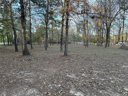 Property in Tyler County, Texas