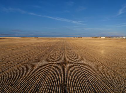 Property in Williams County, North Dakota