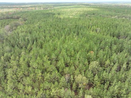 Property for sale in Macon County, Georgia