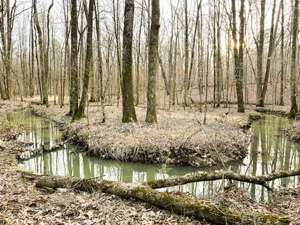 Property in Clay County, Mississippi