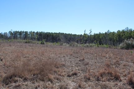 Property for sale in Lawrence County, Mississippi