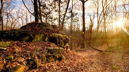 Property in Chattooga County, Georgia