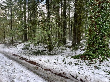 Property in Clackamas County, Oregon