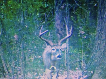 Property in Avoyelles Parish, Louisiana