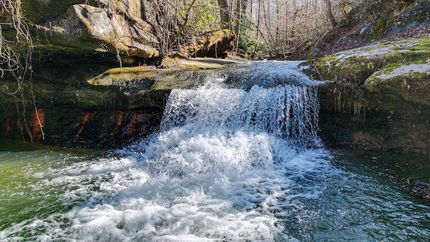 Property in Winston County, Alabama