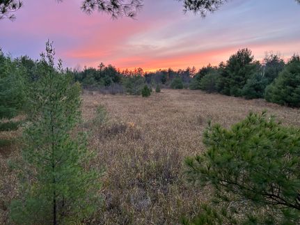 Property in Jackson County, Wisconsin