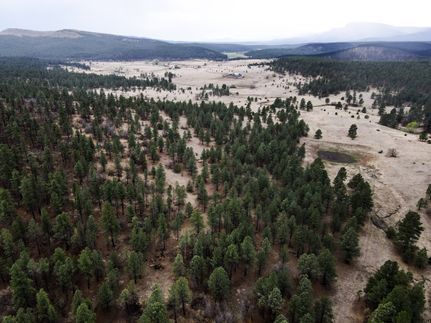 Property in San Miguel County, New Mexico