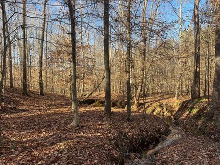 Property in Halifax County, Virginia