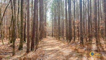 Property in Ashley County, Arkansas