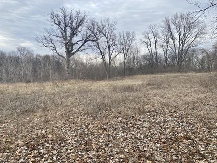 Property in Cass County, Illinois