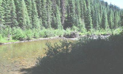 Property in Grand County, Colorado