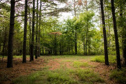Property in Lawrence County, Alabama