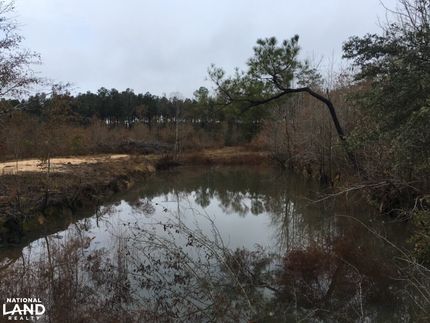 Property in Lee County, South Carolina