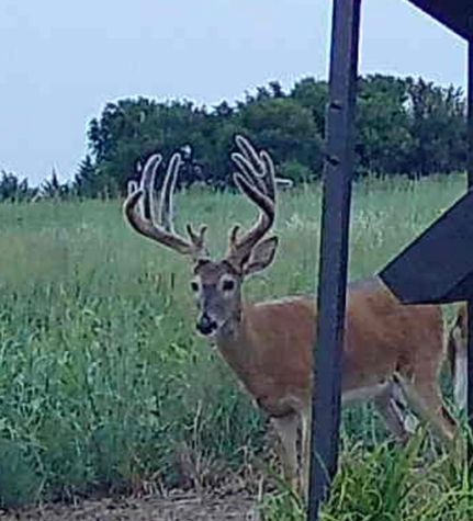 Property in Rice County, Kansas