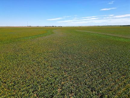 Property in Kiowa County, Oklahoma