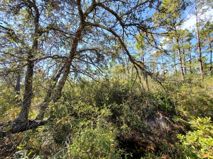 Property for sale in Madison County, Florida