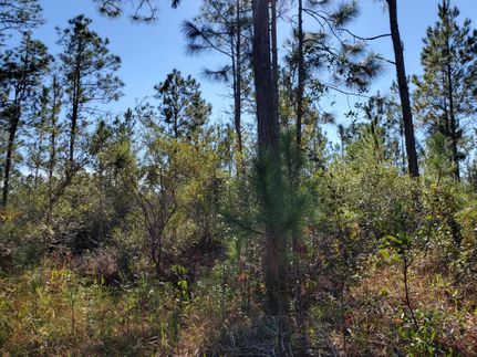 Property for sale in Madison County, Florida