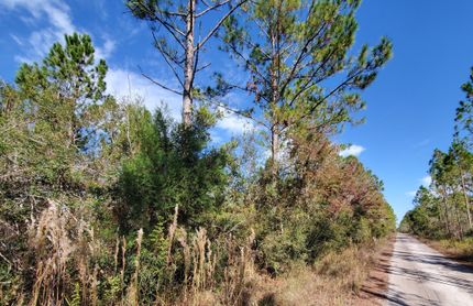 Timberland Property for sale in Madison County, Florida