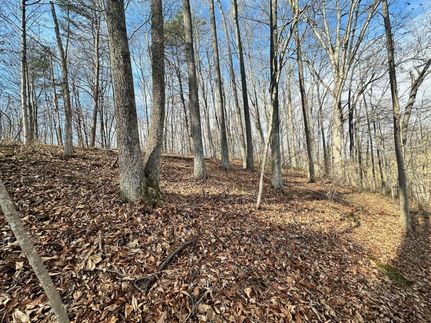 Property in Pike County, Ohio