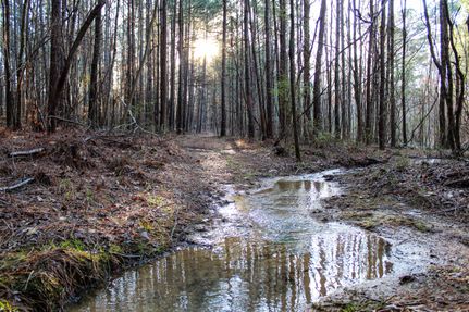 Property in Jefferson County, Alabama