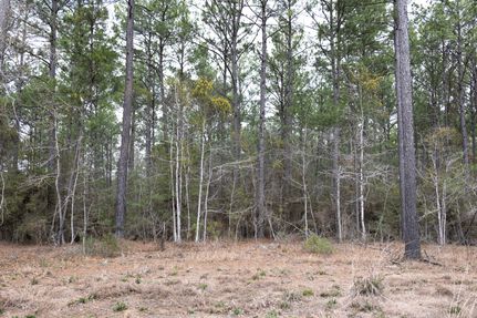 Property for sale in San Augustine County, Texas
