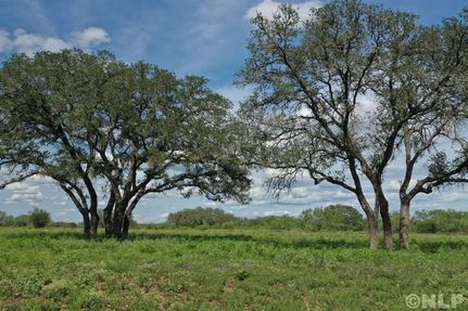 Property for sale in Medina County, Texas