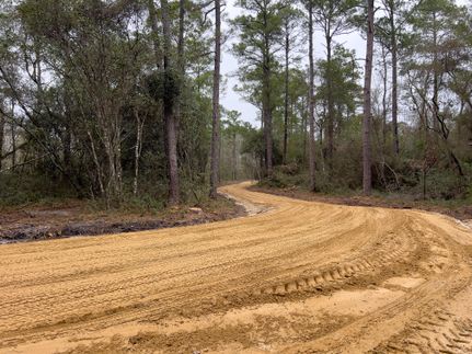 Property in Effingham County, Georgia