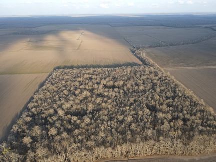Property in Madison Parish, Louisiana