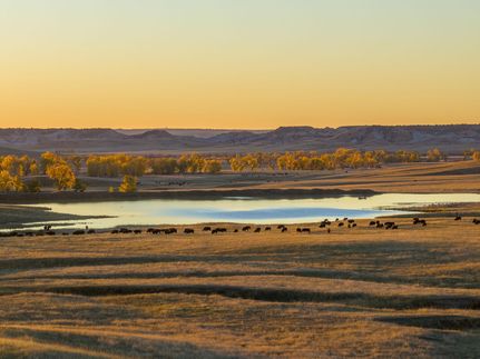 Property in Custer County, South Dakota