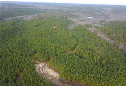 Timberland Property for sale in Marshall County, Mississippi