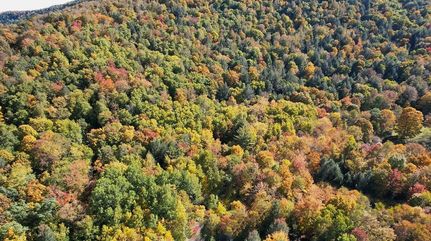 Property in Delaware County, New York